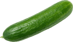 05003bx7-c7de-300x173.png
