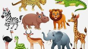 I love animals!