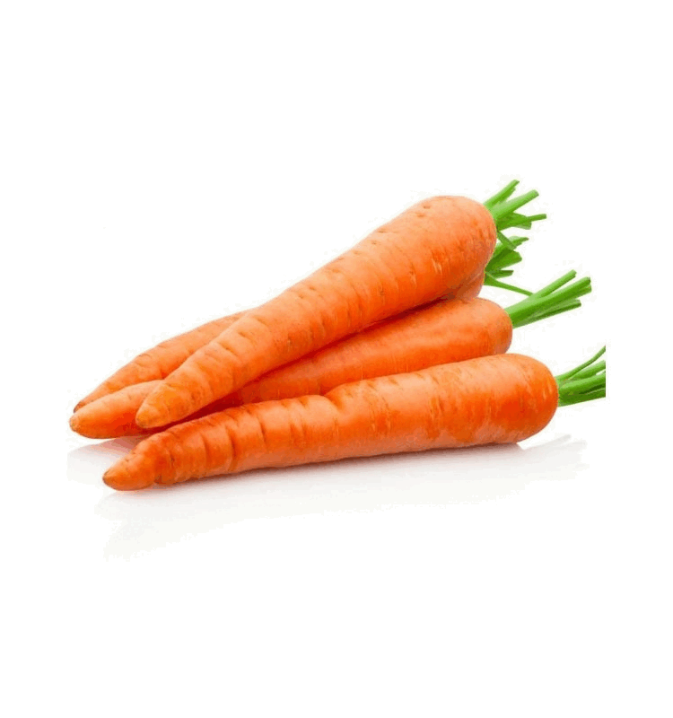 05003co8-e77e-750x800.png