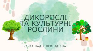 Конспект уроку "Дикорослі та культурні рослини"