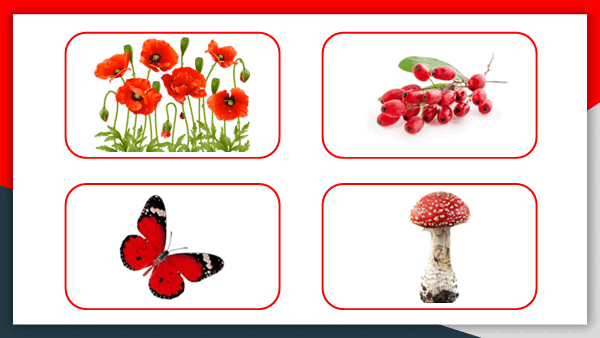 05003d25-8e81-600x338.png