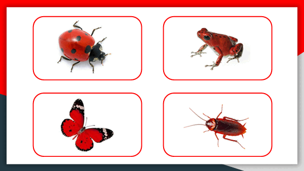 05003d2w-d7ca-600x338.png