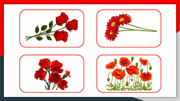 05003d2z-f194-600x338.png