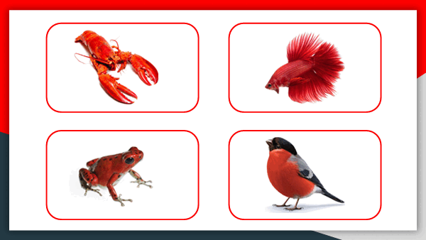 05003d3a-7ec5-600x338.png