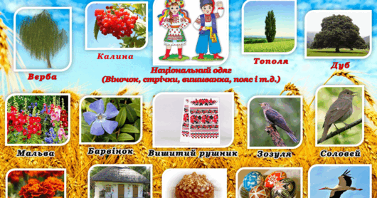 05003d4t-4632-530x278.png