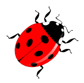 05003d7e-d78d-272x270.png