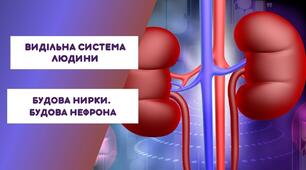 Виділення