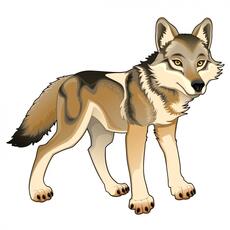 Free vector coloured wolf design