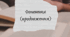 Урок№2. Фонетика (продовження)