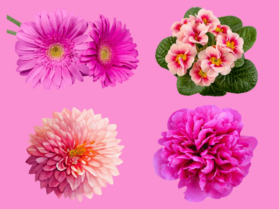 05003ek3-40ae-940x705.png