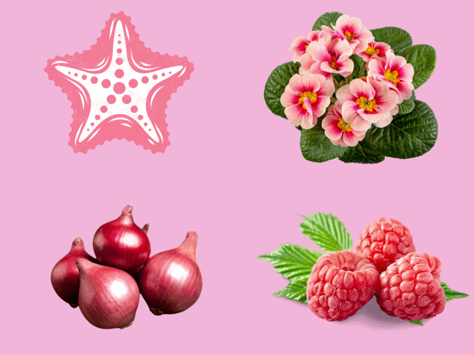 05003ek7-d5a7-940x705.png