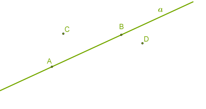 Точки, прямі та відрізки — урок. Геометрія, 7 клас.