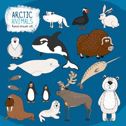 Free vector set of hand-drawn arctic animals on a cold blue background with a polar bear
