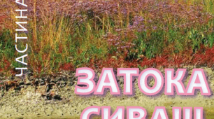 Затока Сиваш, частина 3 (флора, фауна, охорона)
