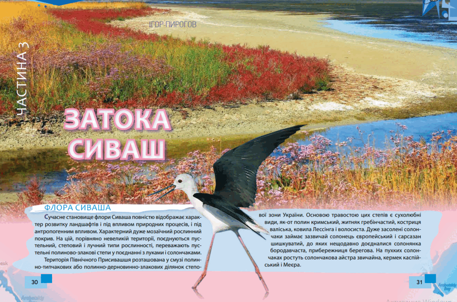 05003ghj-0208-940x622.png