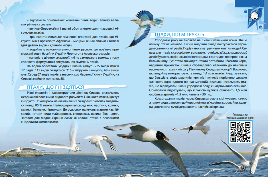 05003ghp-7215-940x621.png
