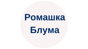 Методичний прийом  "Ромашка Блума"