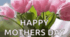 Презентація до уроку англійської мови "Mother's Day"