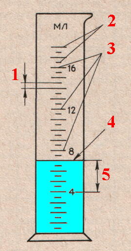 05003ivf-969f-269x514.jpg