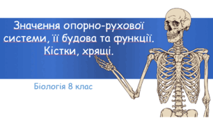 Презентація "Значення опорно-рухової системи, її будова та функції. Кістки та хрящі"