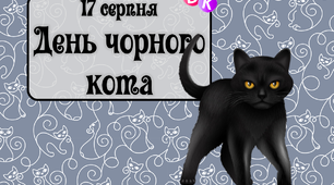 Консультація "17 серпня - День чорного кота"