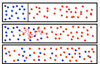 05003n95-778d-345x222.png