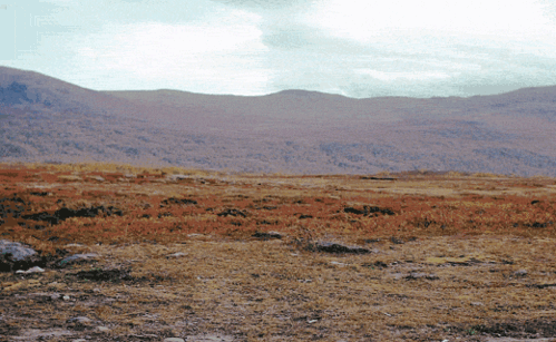 Hiking GIF - Find & Share on GIPHY