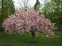 05003pja-7a6b-200x150.jpg