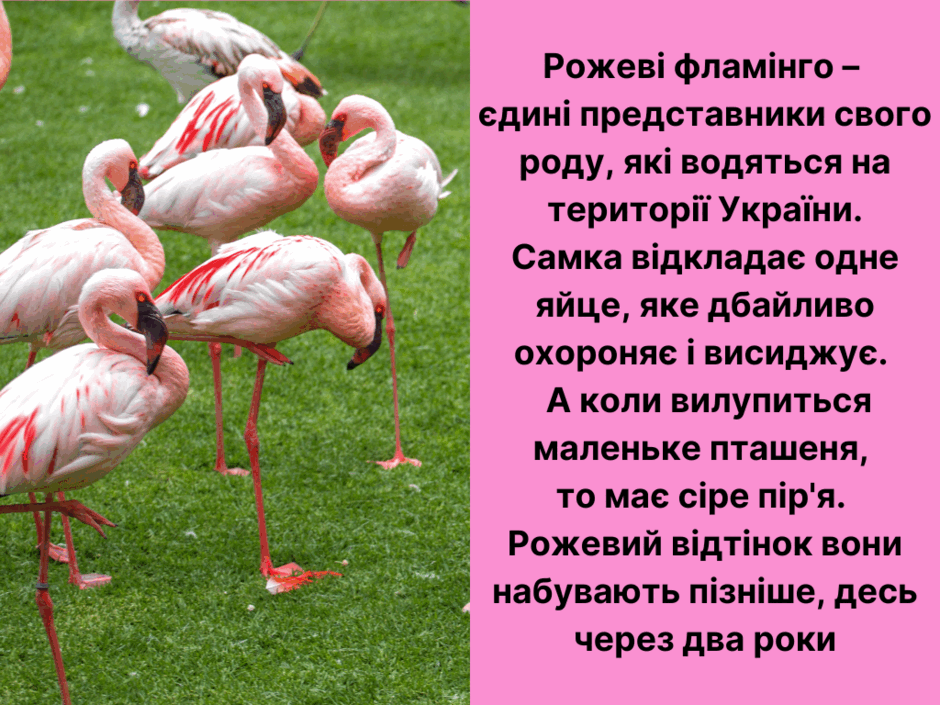 05003pkc-6ee3-940x705.png