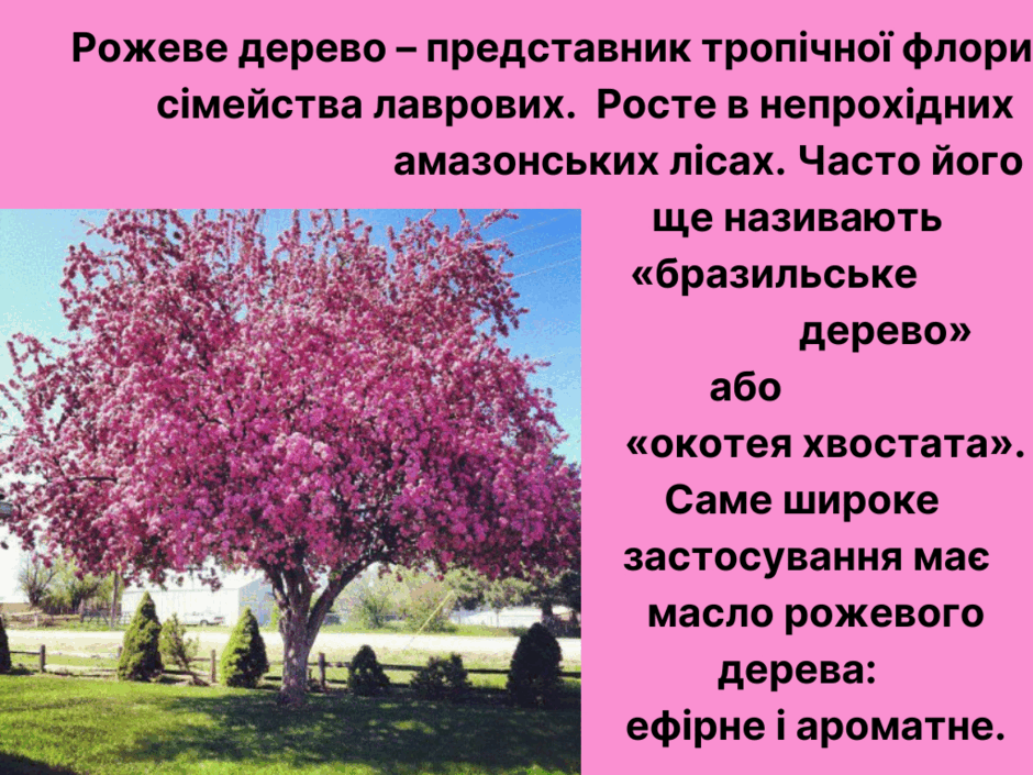 05003pkg-60c1-940x705.png