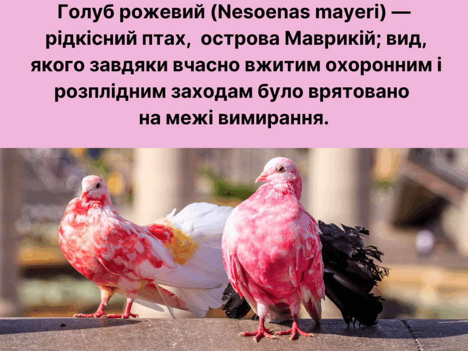 05003pkh-7c9f-940x705.png