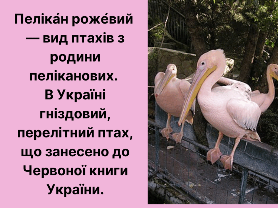 05003pki-e0d5-940x705.png