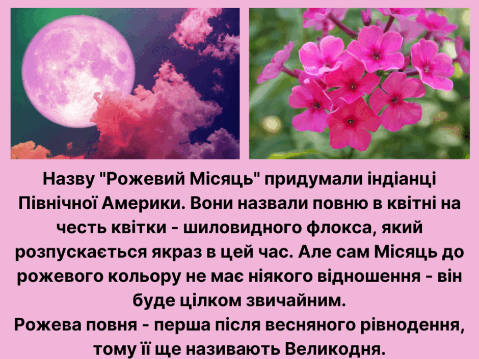 05003pky-a1d3-940x705.png
