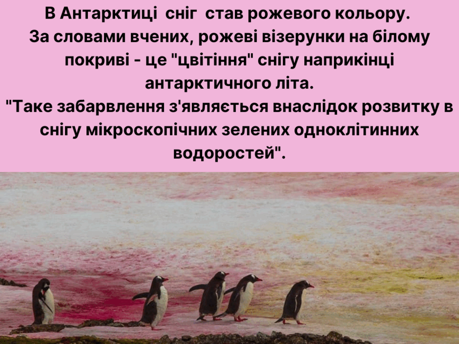 05003pkz-6ad3-940x705.png