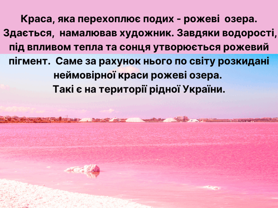 05003pl0-6b90-940x705.png