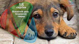 Всесвітній день бездомних тварин