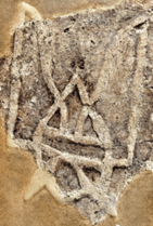 05003q2o-696a-141x209.png
