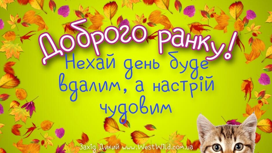 Привітання з Добрим Ранком в картинках (постійне оновлення) - West Wild | Захід Дикий