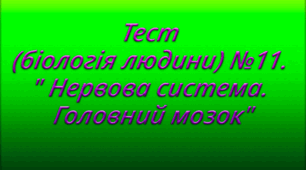 Тест (біологія людини) №11. " Нервова система. Головний мозок"