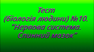 Тест (біологія людини) №10. "Нервова система. Спинний мозок"