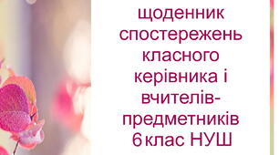 Спільний щоденник спостережень класного керівника та учителів-предметників за результатами навчання учнів 6 класу НУШ (з можливістю редагування)