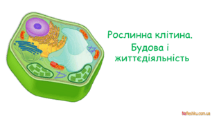 Рослинна клітина. Будова і життєдіяльність