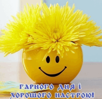 05003sef-148e-863x844.png