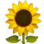 🌻