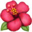 🌺