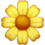 🌼