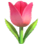 🌷