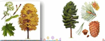 05003uix-8666-358x142.png