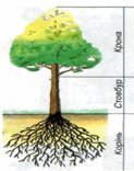 05003uvx-3397-123x156.png