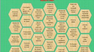 Заняття з дитиною для яскравих та щасливих спогадів про дитинство